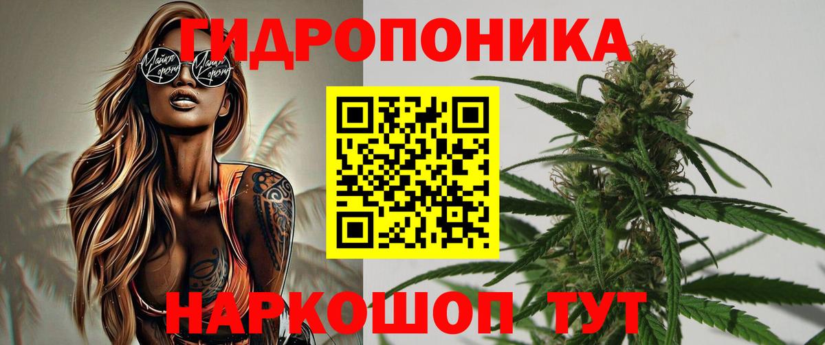 Марихуана марихуана Назрань